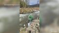 Река Теренца в Усть-Абаканском районе окрасилась в бурый цвет
