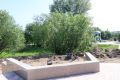 ��� ��������������� ��������������� ����� � �������