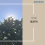 Синоптики предупреждают о сильной жаре в Хакасии