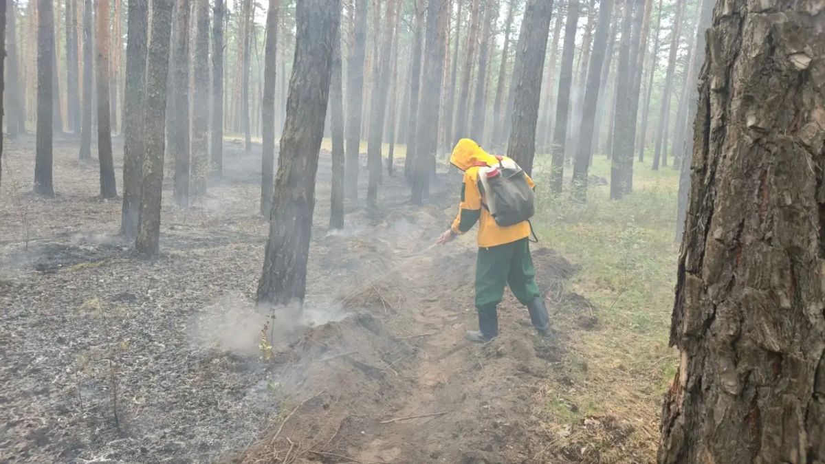 Халатность с огнем "подожгла" лес в Селиванихе Халатность с огнем "подожгла" лес в Селиванихе
