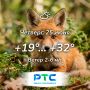 ������ ����, �������!. ��� � Telegram | ����