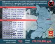 Об ИТ-мошенничестве в цифрах