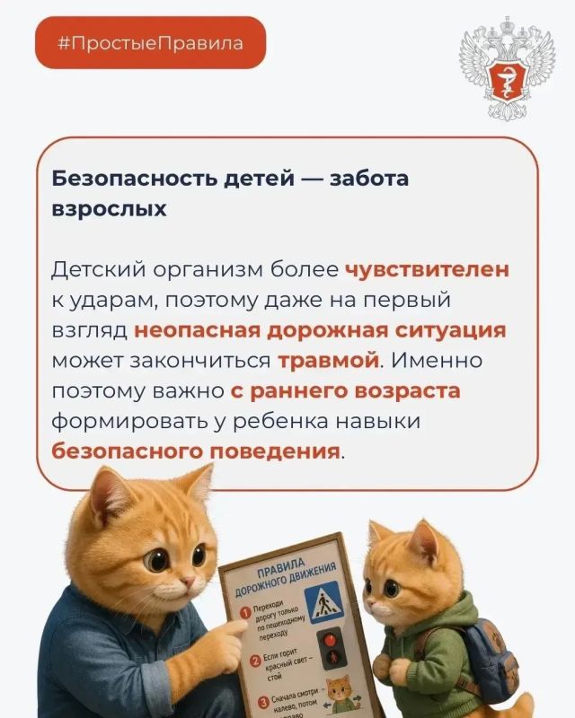 Как избежать травм на дорогах? Как избежать травм на дорогах?