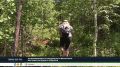 � ������ ������ � ������� ��������� ������ ����������� 2626 �������