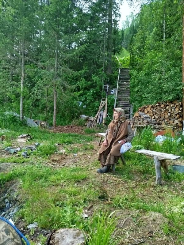 Медведь от заимки Агафьи Лыковой ушел вглубь тайги Медведь от заимки Агафьи Лыковой ушел вглубь тайги