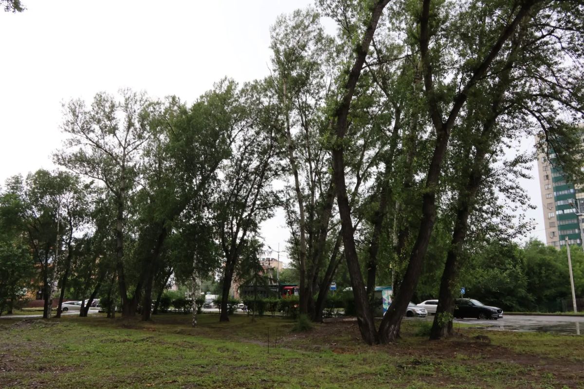 В Парке Победы «Муниципальный жилищный фонд» приступил к разбивке территории для устройства детской площадки В Парке Победы «Муниципальный жилищный фонд» приступил к разбивке территории для устройства детской площадки