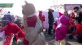 Разноцветное 28-метровое полотно, созданное руками детей и их родителей появилось в Преображенском парке Абакана