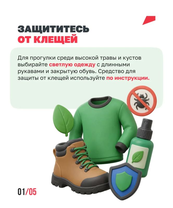 Лето без неприятных сюрпризов Лето без неприятных сюрпризов