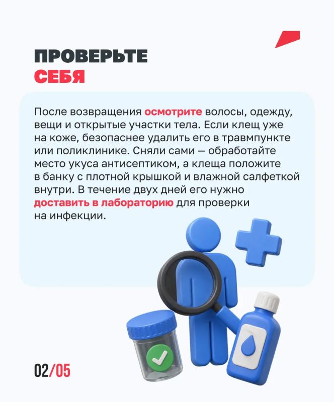 Лето без неприятных сюрпризов Лето без неприятных сюрпризов