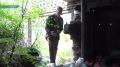 В Абакане гаражи превращаются в свалки