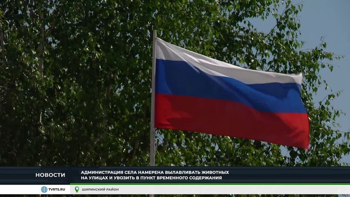 "Крупно-рогатая" проблема: жители хакасского села много лет живут в страхе перед коровами и лошадьми