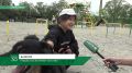Ходить по трапу и прыгать в кольцо – теперь все это смогут делать питомцы из саяногорского приюта «Кот и пес»