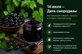 День смородины. Ежегодно 14 июля в нашей стране отмечается День смородины. Польза черной смородины заключается в ее уникальном наборе биологически активных веществ