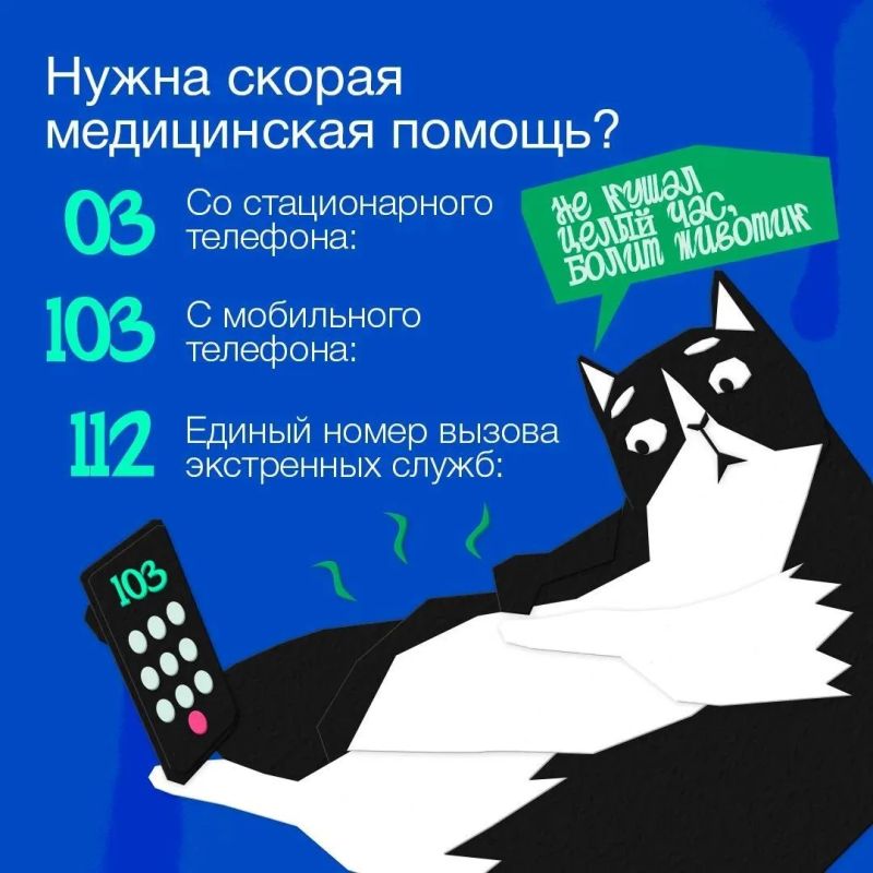 На всякий пожарный (и не только) случай: напоминаем, куда звонить, если что-то случилось На всякий пожарный (и не только) случай: напоминаем, куда звонить, если что-то случилось