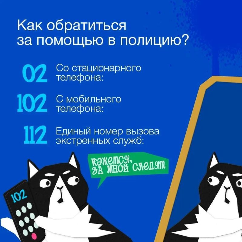 На всякий пожарный (и не только) случай: напоминаем, куда звонить, если что-то случилось На всякий пожарный (и не только) случай: напоминаем, куда звонить, если что-то случилось