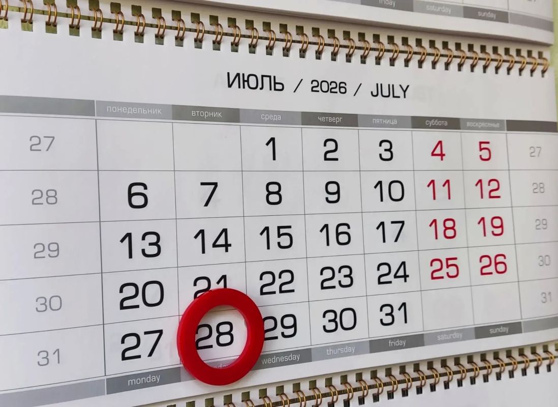 Сроки уплаты единого налогового платежа во второй половине июля