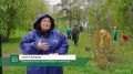 Три тысячи людей в 40 городах России объединились, чтобы посадить деревья и сделать воздух чище