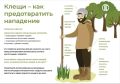 Клещи: как предотвратить нападение