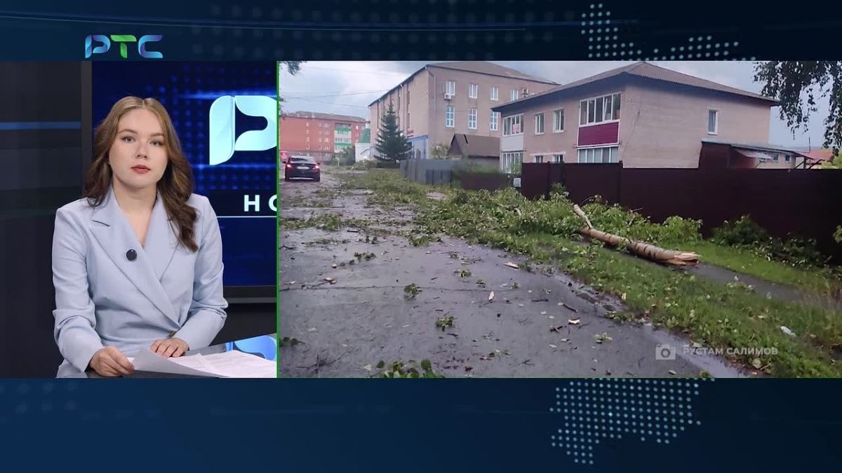 "Пора спилить опасные деревья": сильный ветер в Таштыпе повалил тополя и сосны на центральной аллее