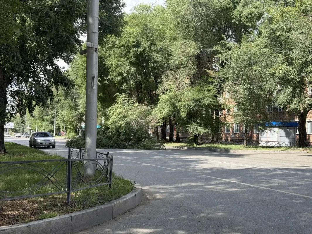 В Абакане по улице Щетинкина сломано дерево В Абакане по улице Щетинкина сломано дерево