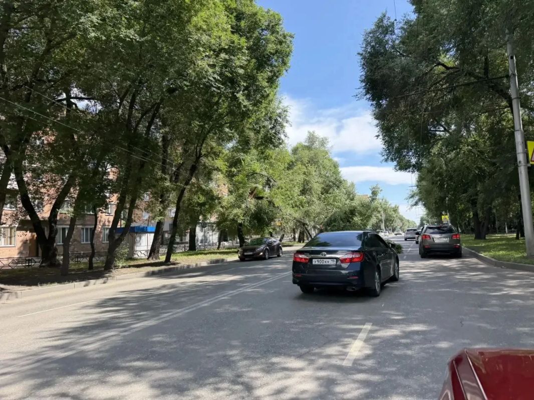 В Абакане по улице Щетинкина сломано дерево В Абакане по улице Щетинкина сломано дерево