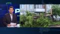 Молния расколола дерево на три машины, град застал людей на станции: непогода прошлась по Хакасии