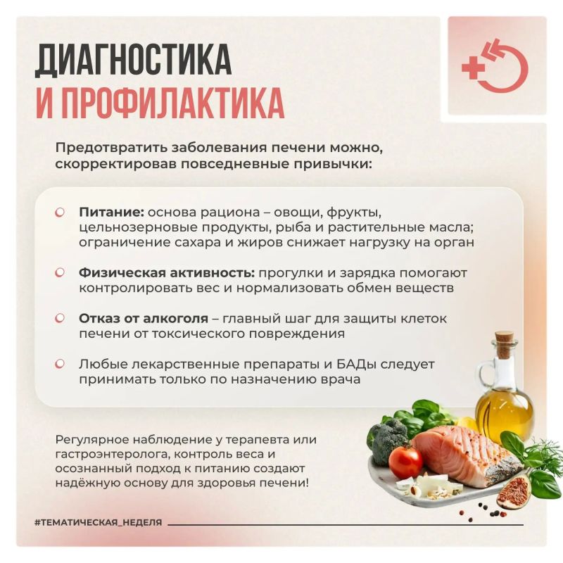 Печень работает непрерывно, выполняя более 500 функций по очистке крови и обмену веществ Печень работает непрерывно, выполняя более 500 функций по очистке крови и обмену веществ