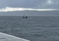 Пятерых девушек на сапах спасали на Красноярском водохранилище