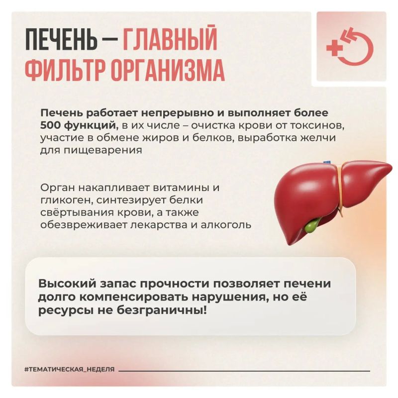 Печень работает непрерывно, выполняя более 500 функций по очистке крови и обмену веществ Печень работает непрерывно, выполняя более 500 функций по очистке крови и обмену веществ