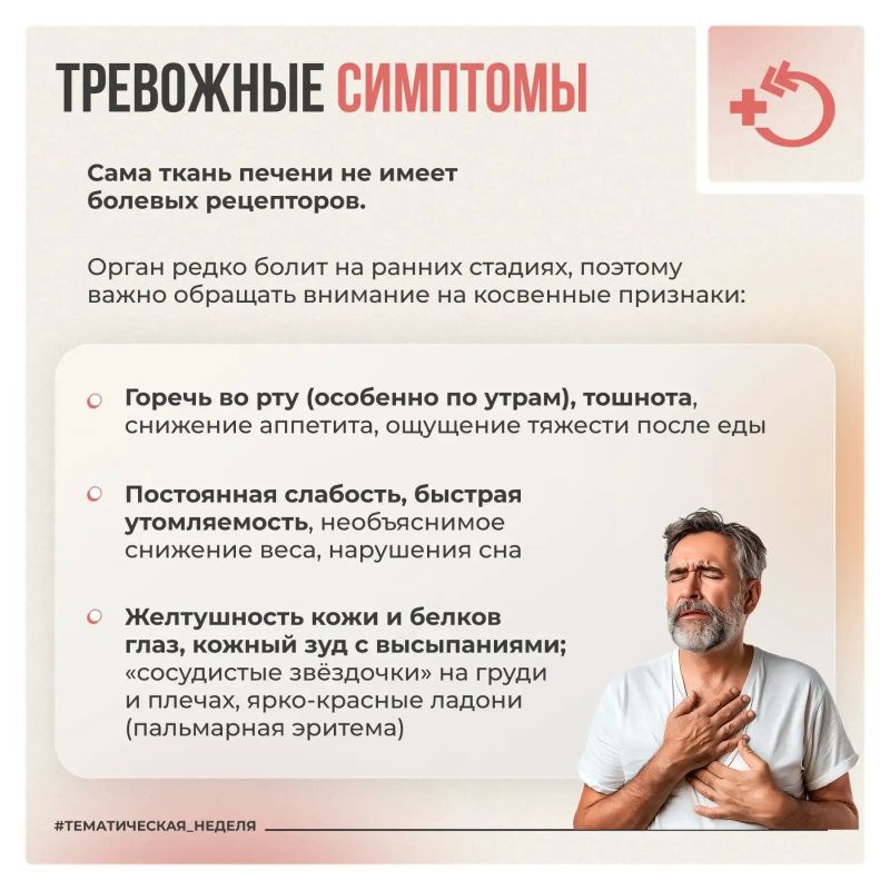 Печень работает непрерывно, выполняя более 500 функций по очистке крови и обмену веществ Печень работает непрерывно, выполняя более 500 функций по очистке крови и обмену веществ