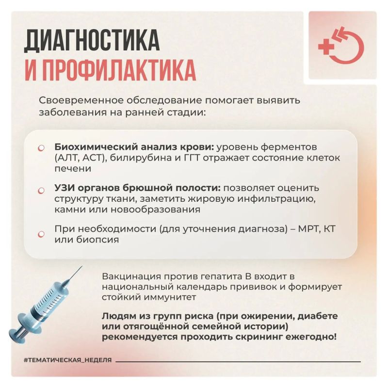 Печень работает непрерывно, выполняя более 500 функций по очистке крови и обмену веществ Печень работает непрерывно, выполняя более 500 функций по очистке крови и обмену веществ