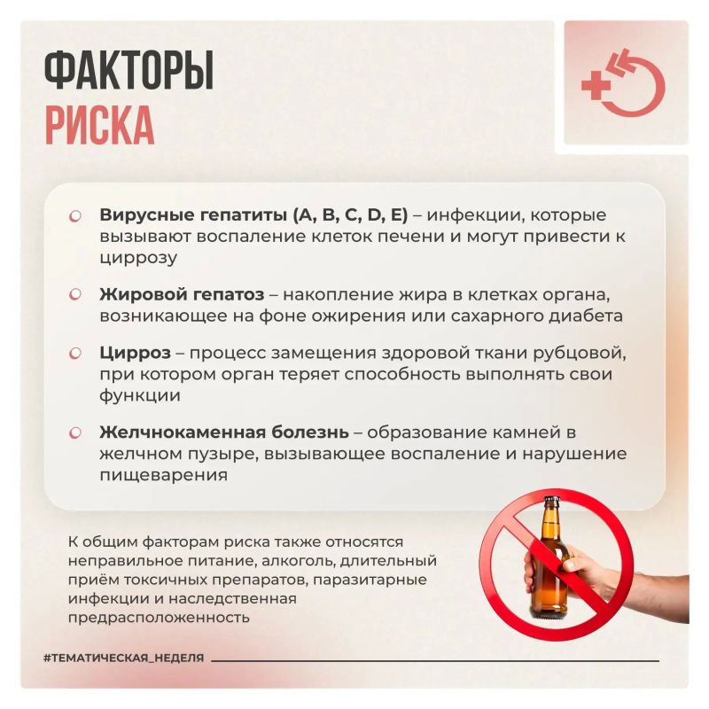 Печень работает непрерывно, выполняя более 500 функций по очистке крови и обмену веществ Печень работает непрерывно, выполняя более 500 функций по очистке крови и обмену веществ