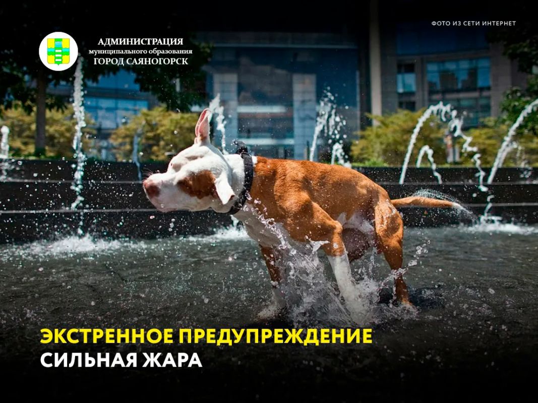 Экстренное предупреждение. Согласно информации гидрометцентра Хакасии: сегодня, 4 августа, местами по Хакасии ожидаются сильная жара, максимальная температура воздуха +35°С и выше
