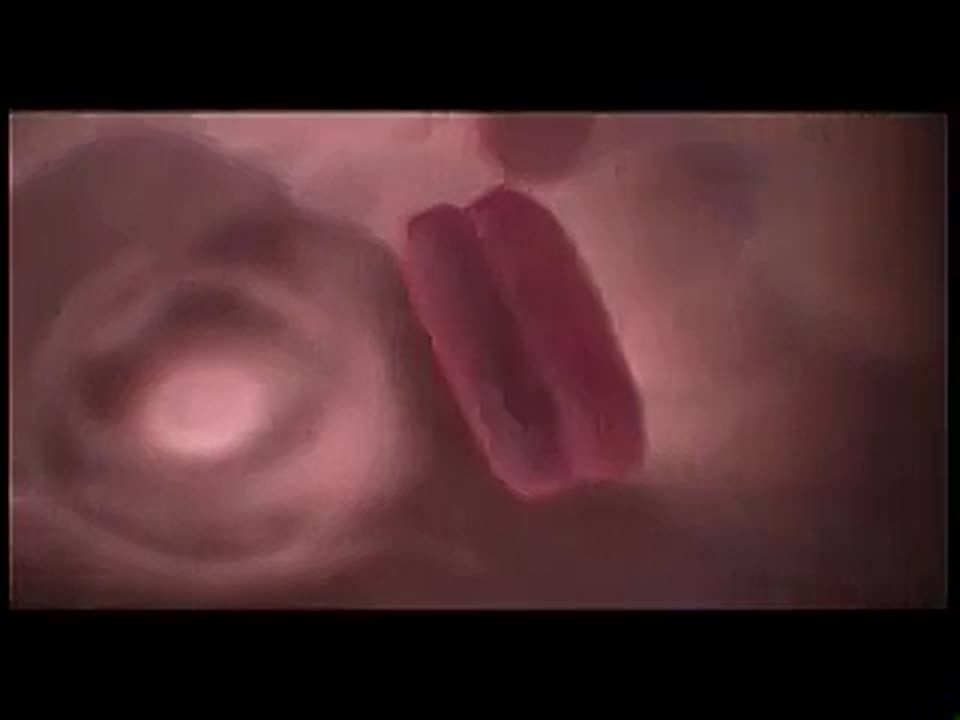 Спиртное не наполняет жизнь, а забирает здоровье и крепкие отношения с близкими