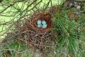 ������������ ���������������� ��������: � ����� ������ ���� ������� ������ ������ ������������� ����