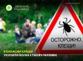 � ������ ������ � �������� � ����������� ������� ���������� 3129 �������, ������������ �� ������ ������