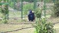 Школьники и студенты Алтайского района объединились в трудовые отряды