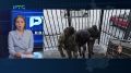 Житель Боградского района осуждён на 5 лет за оправдание терроризма в мессенджере