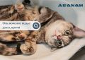 Срочно запасаемся тазиками! Абакан ждет масштабное отключение воды