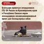 ��������� �������� ������������ ��� �� ������ �� ������������� ���� � ���������� ������� ����� ������������ ������������������� ����� ��� ������������ �����