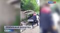 Борьба с мусором... или городскими «свиньями»?