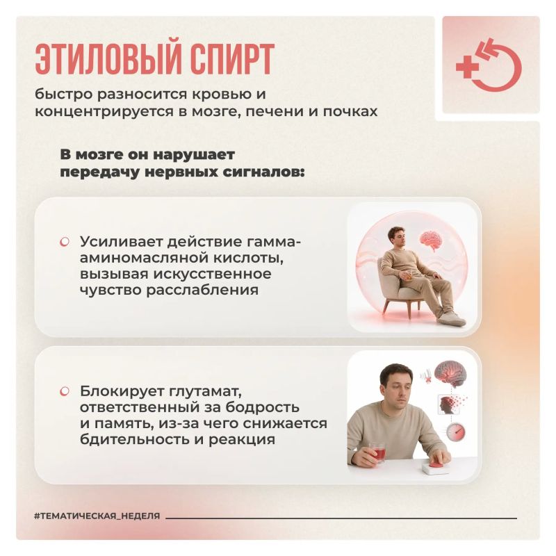 Алкоголь за считанные секунды попадает в кровь и беспрепятственно вмешивается в работу центральной нервной системы Алкоголь за считанные секунды попадает в кровь и беспрепятственно вмешивается в работу центральной нервной системы