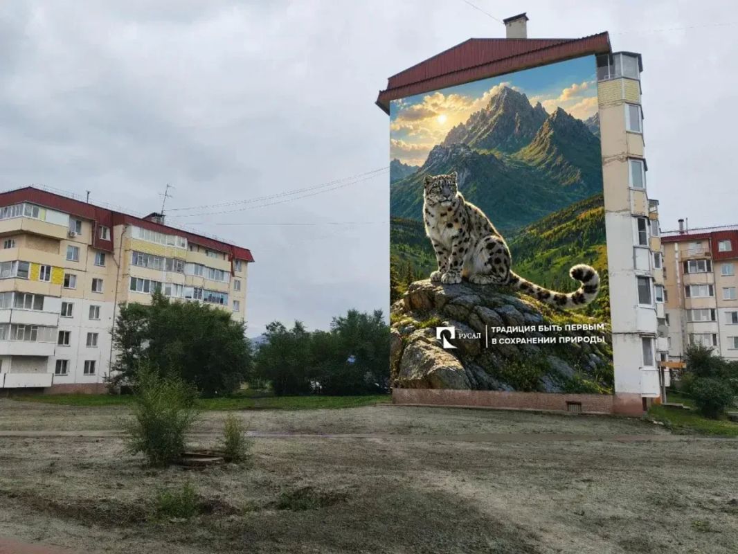 Снежный барс на фоне саянских гор – такой мурал скоро появится на 36 доме Центрального микрорайона в Саяногорске. Художники уже работают Снежный барс на фоне саянских гор – такой мурал скоро появится на 36 доме Центрального микрорайона в Саяногорске. Художники уже работают