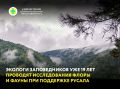 � ������� � �� ��� ������������� ���� ������� ������, ������ � ������� ������ ������������ ���� ����� ���� - ��������� ���������� ������� ������
