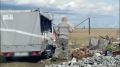 Стихийная свалка у Новоенисейки может провоцировать выход медведей к людям