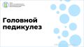 Профилактика педикулеза. Педикулёз – это заразное заболевание, вызываемое кровососущими насекомыми – вшами