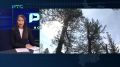 Три дня в тайге: волонтёры нашли пропавшего мужчину под Богословкой