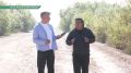 В Усть-Абаканском районе жители нескольких деревень десятилетиями не могут добиться асфальтирования дороги