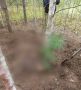 Двух пенсионерок, отправившихся за грибами в соседнем Красноярском крае, загрыз медведь