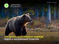����������, ��� � ����� � ������������� �������� ������ ������ ������� � ���������������� �������� �� ���������� �������, �� ���������� ����������� ������� �������������� ���� ������������